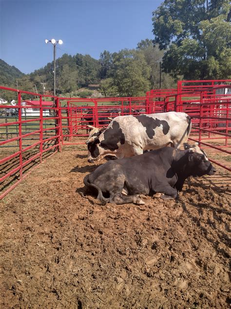 Letcher County Jail added a new photo. - Letcher County Jail