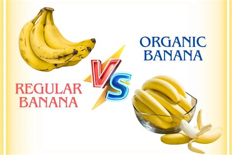 Bats Eating Bananas: What You Need to Know About Their Diet | pH of Banana