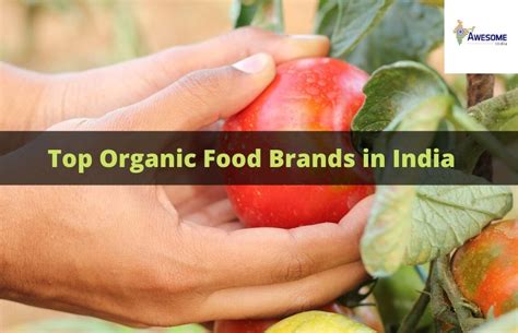 Top Organic Food Companies In India - Awesome India