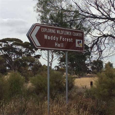 WADDY FOREST HALL (2026) All You Need to Know BEFORE You Go (with ...