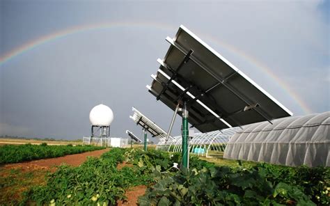Image result for Springbok Solar Farm