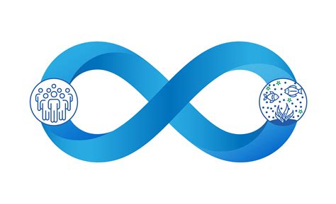 What is Eutrophication? - CLEAN-FLO