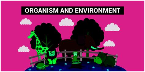 Ecology 的图像结果