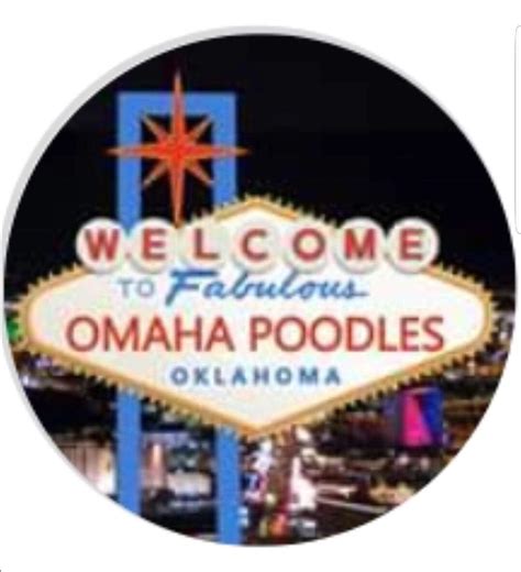 OMAHA POODLES - Poodles, Phantom, Sable, Brindle,parti, Standaed ...
