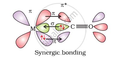 Discuss the nature of bonding in metal carbonyls. - Chemistry | Shaalaa.com