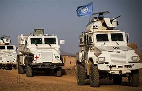 Image result for U.N. peacekeeper killed