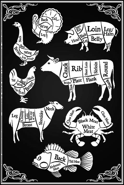 Buy Cuts of Meat Butchers Shop Diagram Chalkboard Art Print Cool Huge ...