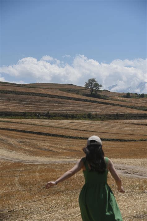 People's Photos 的图像结果