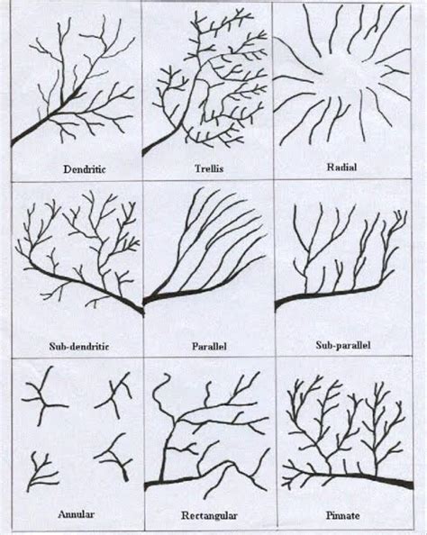 What is the drainage pattern of 6828?a. Radial Drainage Patternb ...