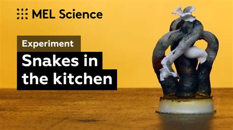 Image result for Exploding Snake