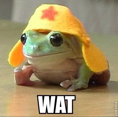 Image result for JavaScript Wat Video