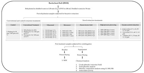 Effects of Novel Extraction Strategies on the Recovery of Phenolic ...