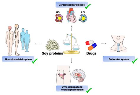 Regulation of Cholesterol Metabolism by Bioactive Components of Soy ...