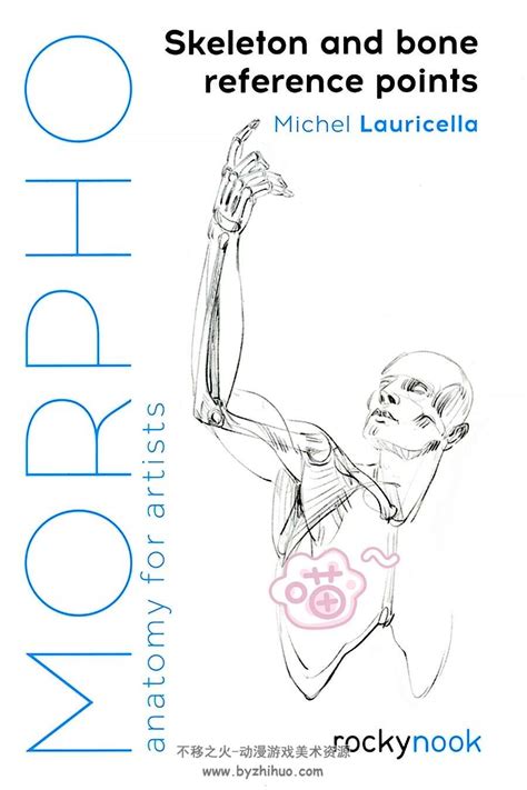 Morpho Problem 的图像结果