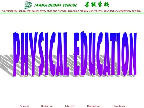 PPT - MAHA BODHI SCHOOL 菩提学校 PowerPoint Presentation, free download ...