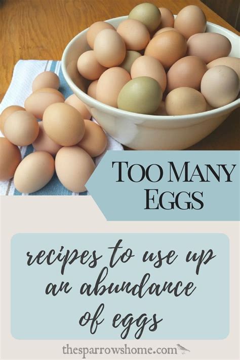 recipes using lots of eggs nz