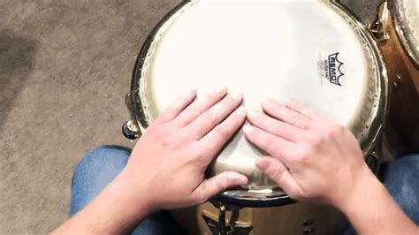 Image result for Conga Backing Tracks