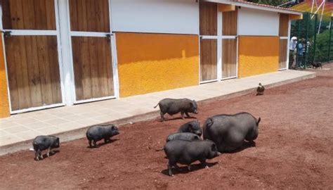 Amecameca Photos - Featured Images of Amecameca, Estado de Mexico ...