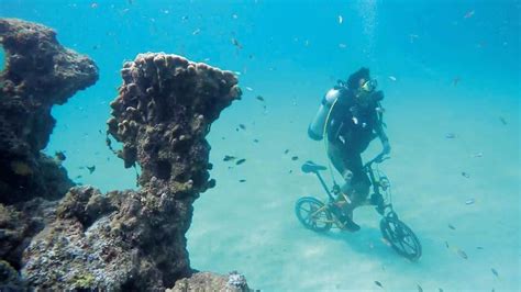 Extreme Adventure Tourism Picks Pace In India; Stakeholders Weigh In