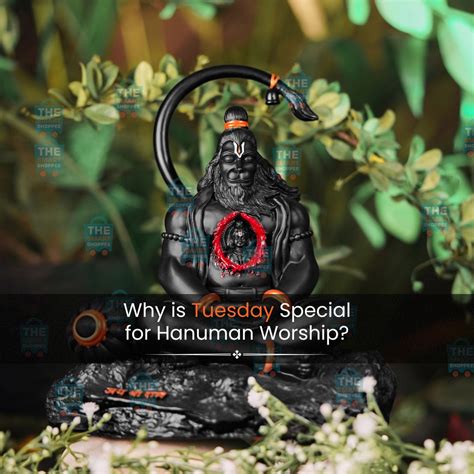 Why is Tuesday Special for Hanuman Worship? – Tasmaya Divine Treasures ...