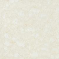 Nexus Shine | Nexus Shine