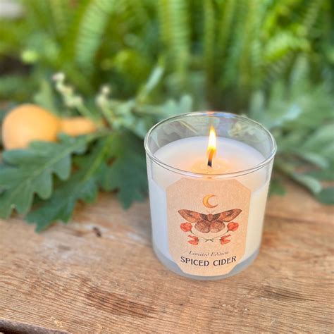 8.5oz Spiced Cider Soy Candle – Magic Fairy Candles
