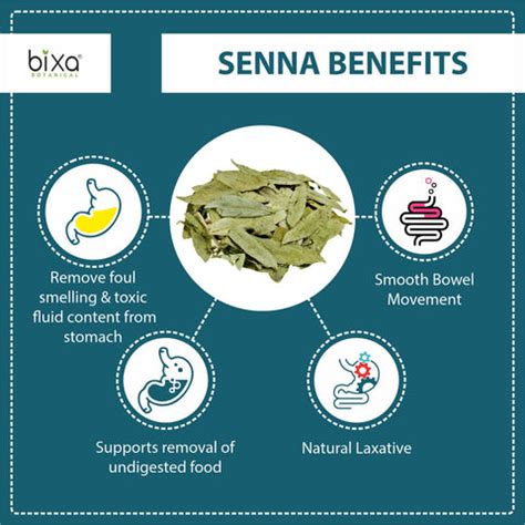 Indian Senna / Sanay Extract 60 Veg Capsules (450mg) 20% Sennoside ...