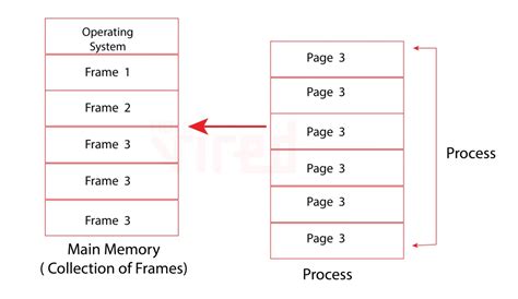 Difference Between Paging and Segmentation 的图像结果