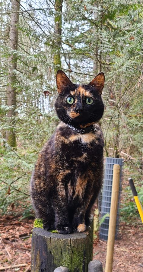 I Miss My Girlfriend