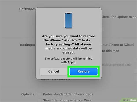 IPhone Restore Tutorial 的图像结果