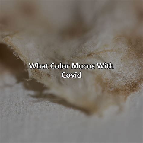 What Color Attracts The Human Eye Most - colorscombo.com