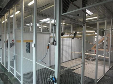 ZooLex Image - Cages in the buffalo building