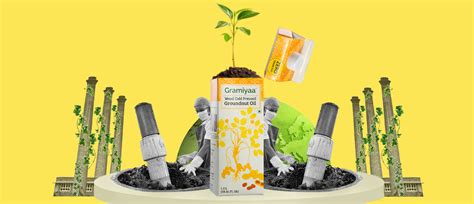 What are the environmental impacts of cold pressed oils? – Gramiyaa