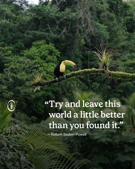 Image result for Clean Conscience