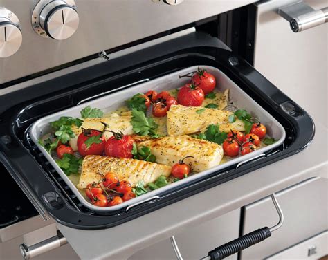 Viking True Convection Vs Convection Bake at Edyth Herndon blog