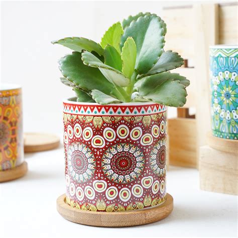 House Plant Pots Online - Premium Planter | Nestasia