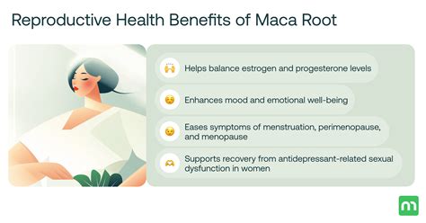 Image result for Fertility Maca Root