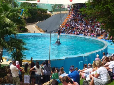 10 Best Things to Do in Albufeira - Hellotickets