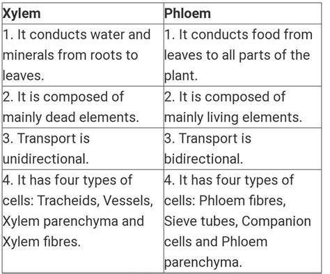 difference between xylem and phloem.write atleast three difference ...