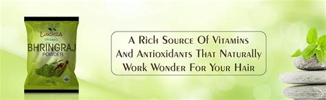 Buy Luxura Sciences Natural Bhringraj Powder for hair growth and ...