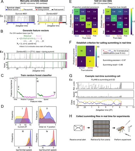 Neural mechanisms of parasite-induced summiting behavior in ‘zombie’ Drosophila | eLife