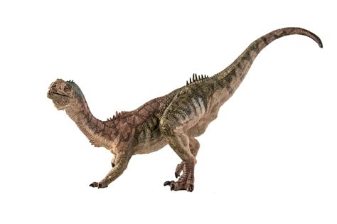 하드로사우루스 이미지 - Freepik에서 무료 다운로드