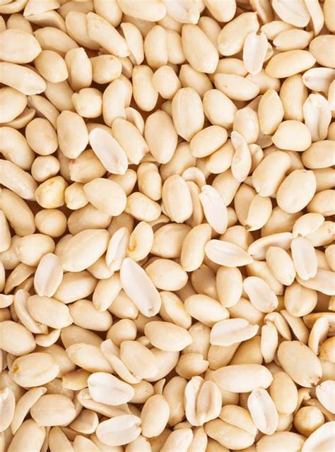 Khedut - Growers and Processors of finest quality peanuts