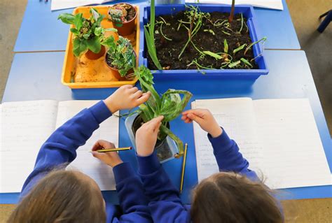 Primary School Science 的图像结果