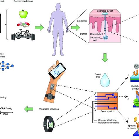 Wearable Sensor 的图像结果