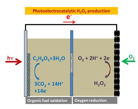 Photoelectrocatalytic Hydrogen Peroxide Production Using ...