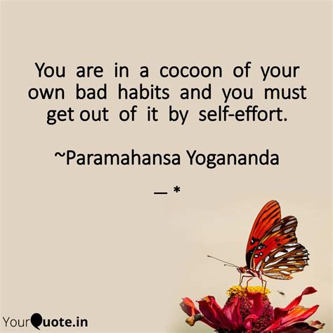 You are in a cocoon ... | Quotes & Writings by Mittens & Kittens ...