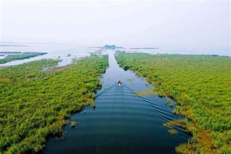 菏泽：融入黄河重大国家战略 推动黄河流域生态保护和高质量发展-中华网山东