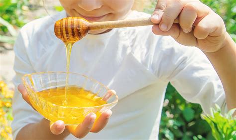 Image result for Beekeeping Tutorial