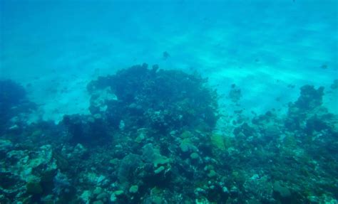World's Biggest Island in a Lake… with Lakes That Have Their Own ...